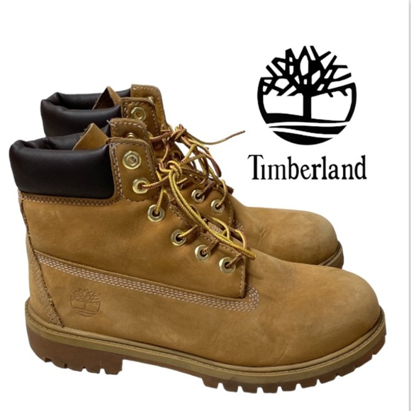 Timberland Junior/Big Kids 6-inch Premium Waterproof Boots Wheat Size 6, EU 39 - Picture 1 of 15
